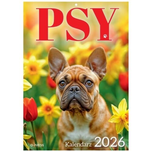 Kalendarz 2026 A4 Wieloplanszowy Psy