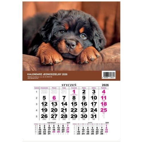Kalendarz 2026 jednodzielny Pies