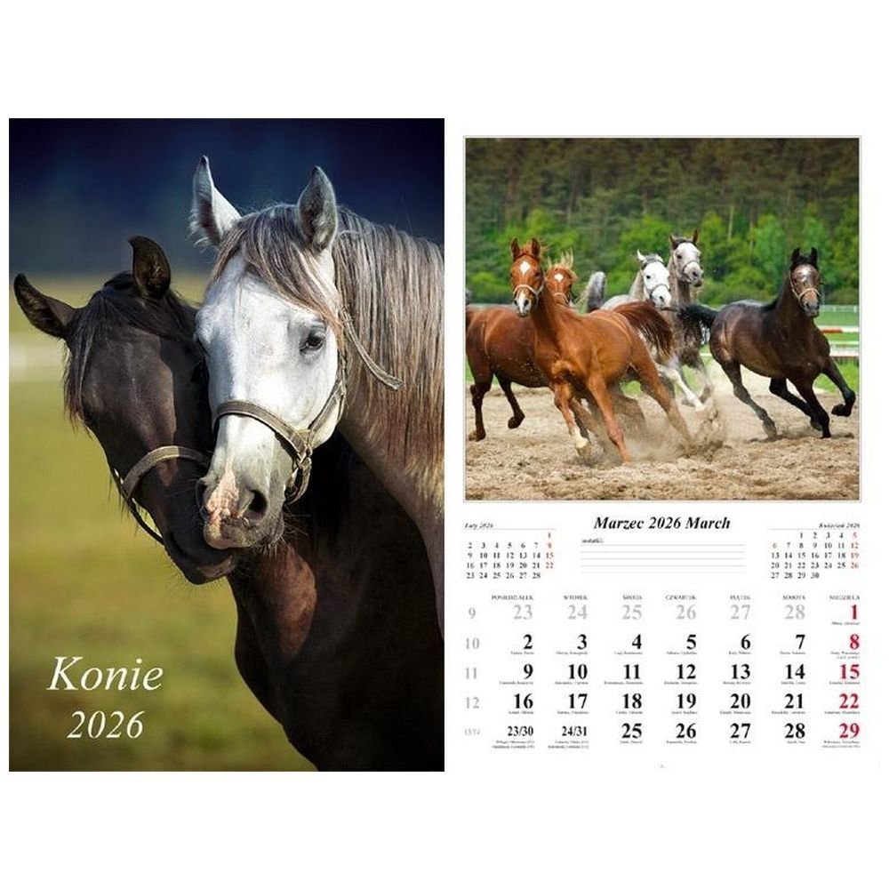 Kalendarz 2026 ścienny Konie