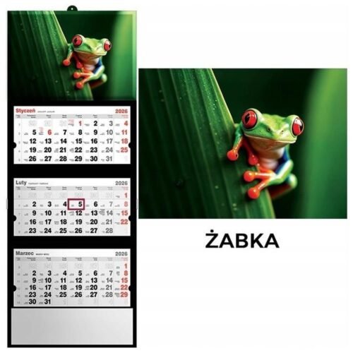 Kalendarz 2026 trójdzielny żaba