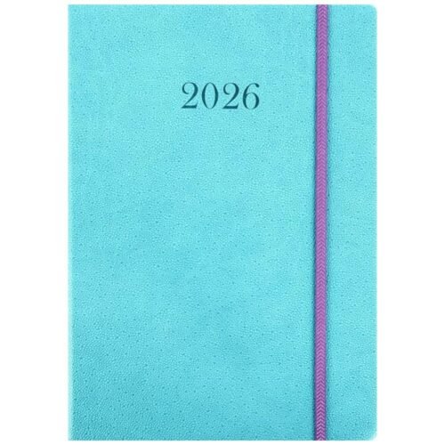 Terminarz 2026 Tygodniowy B5 Krokodylek MIX