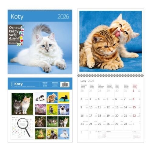 Kalendarz 2026 ścienny 30x30 Koty HELMA