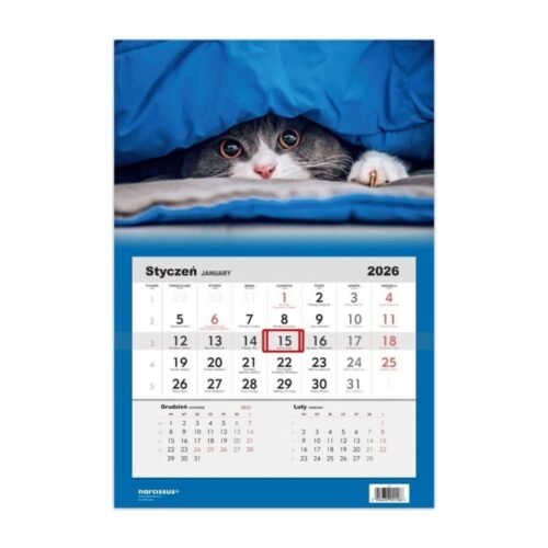 Kalendarz 2026 jednodzielny Kot HELMA