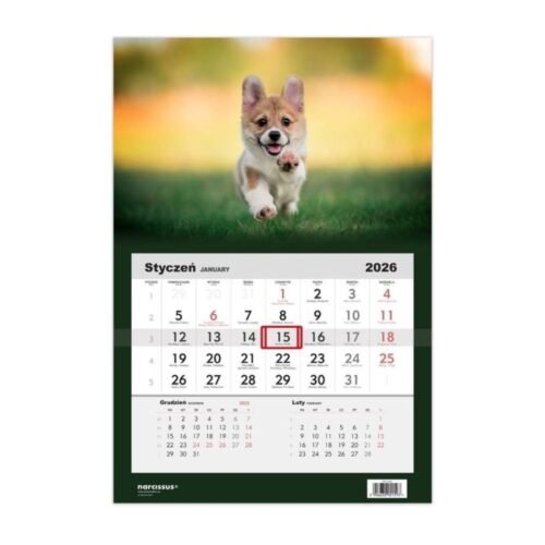 Kalendarz 2026 jednodzielny Pies Corgi HELMA