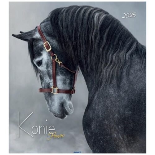 Kalendarz 2026 ścienny 32x32cm Konie