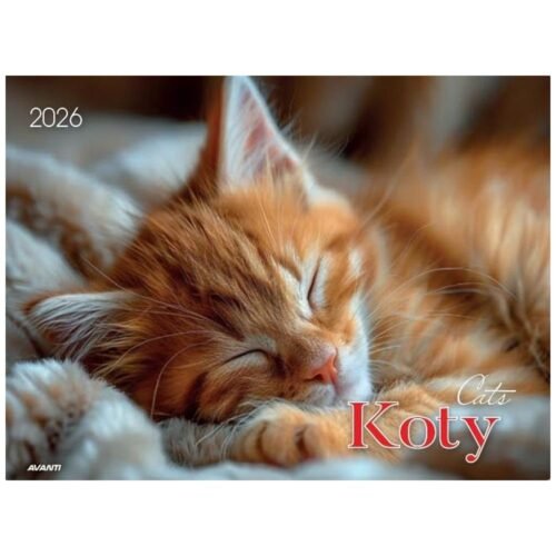 Kalendarz 2026 ścienny albumowy 28,5x20cm Koty