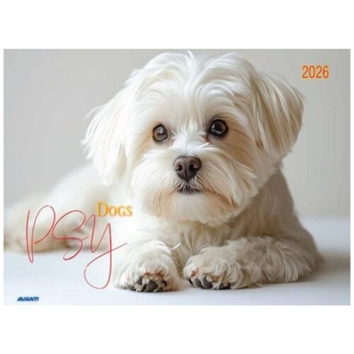 Kalendarz 2026 ścienny albumowy 28,5x20cm Psy
