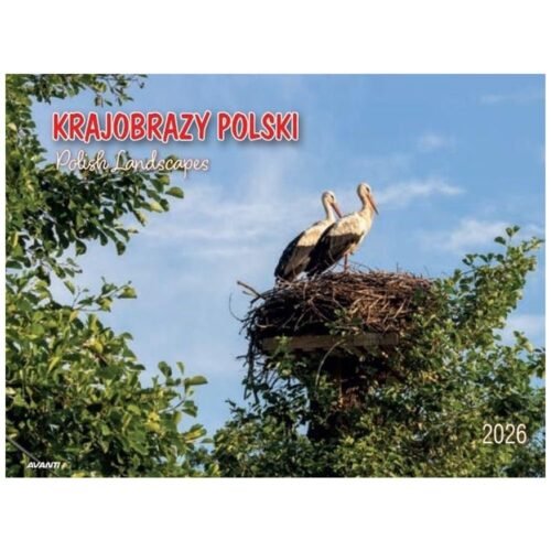 Kalendarz 2026 ścienny album. 28,5x20cm Krajobrazy