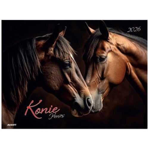 Kalendarz 2026 ścienny albumowy 28,5x20cm Konie