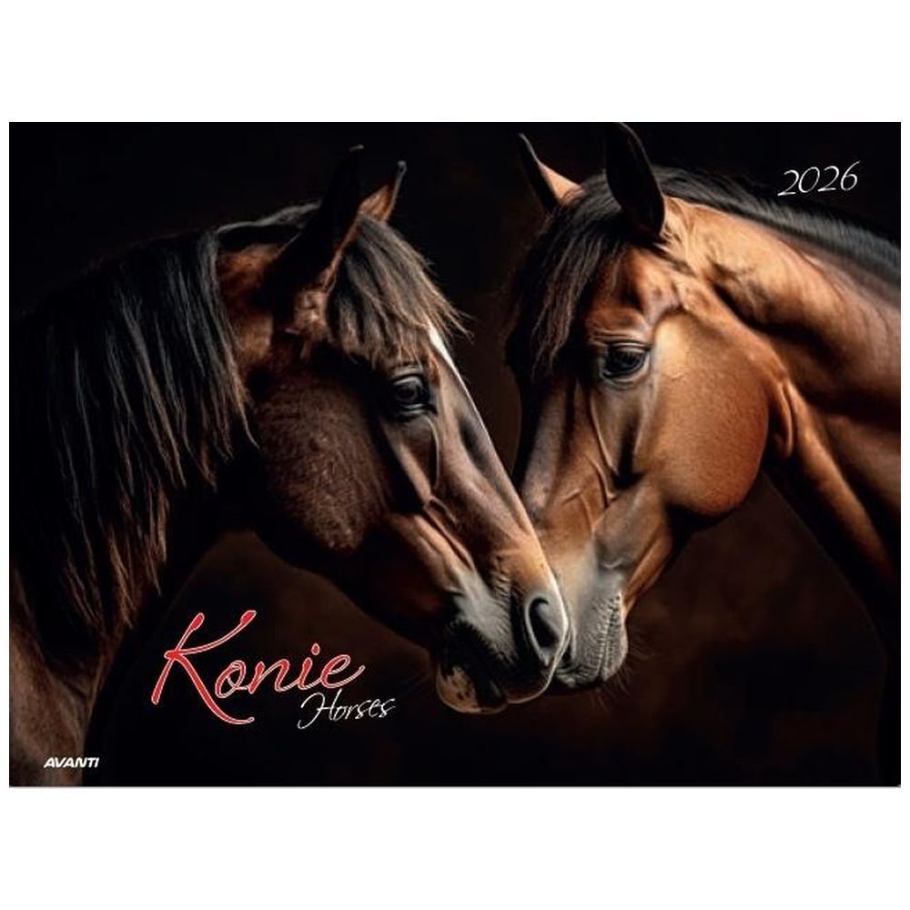 Kalendarz 2026 ścienny albumowy 28,5x20cm Konie