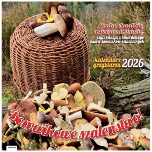 Kalendarz 2026 ścienny albumowy 30x30cm Grzybiarza
