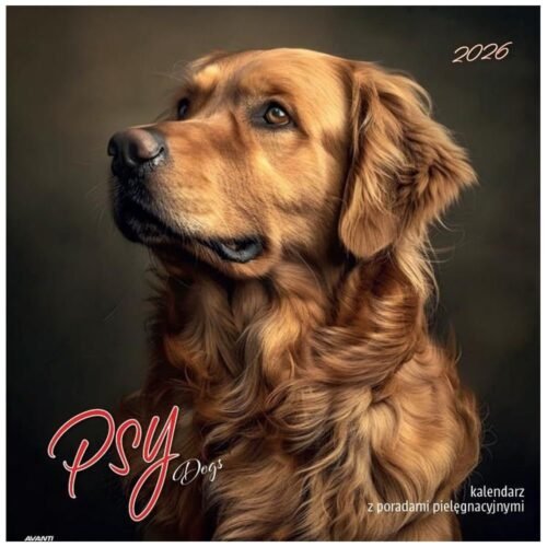 Kalendarz 2026 ścienny albumowy 30x30cm Psy