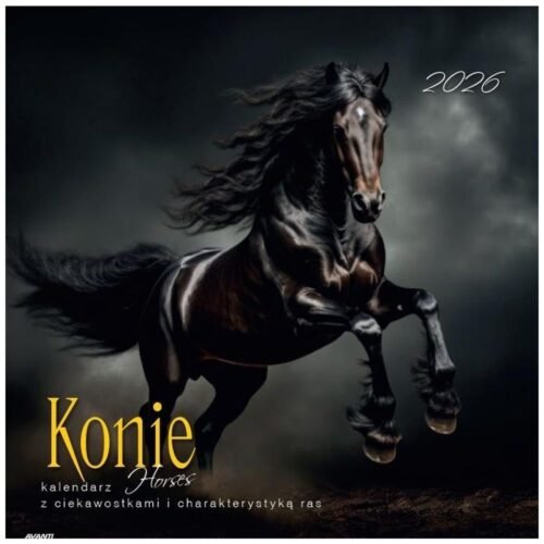 Kalendarz 2026 ścienny albumowy 30x30cm Konie