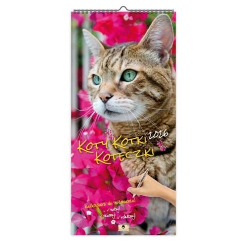 Kalendarz 2026 paskowy szeroki koty kotki koteczki