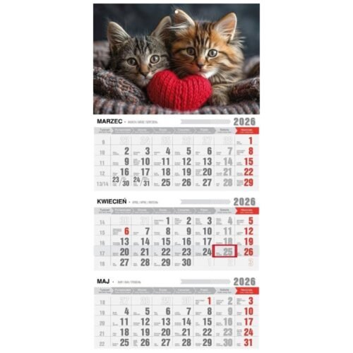 Kalendarz 2026 trójdzielny ekonomiczny kotki