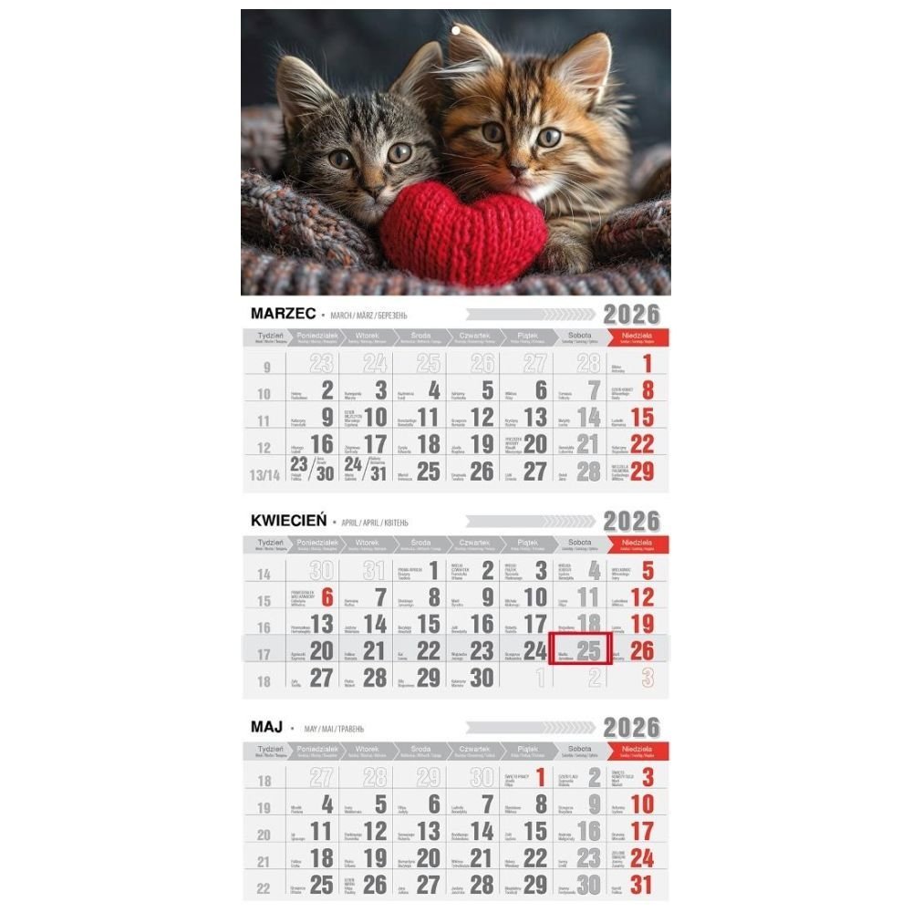 Kalendarz 2026 trójdzielny ekonomiczny kotki