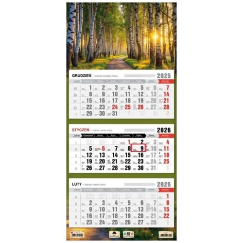 Kalendarz 2026 trójdzielny płaska główka las
