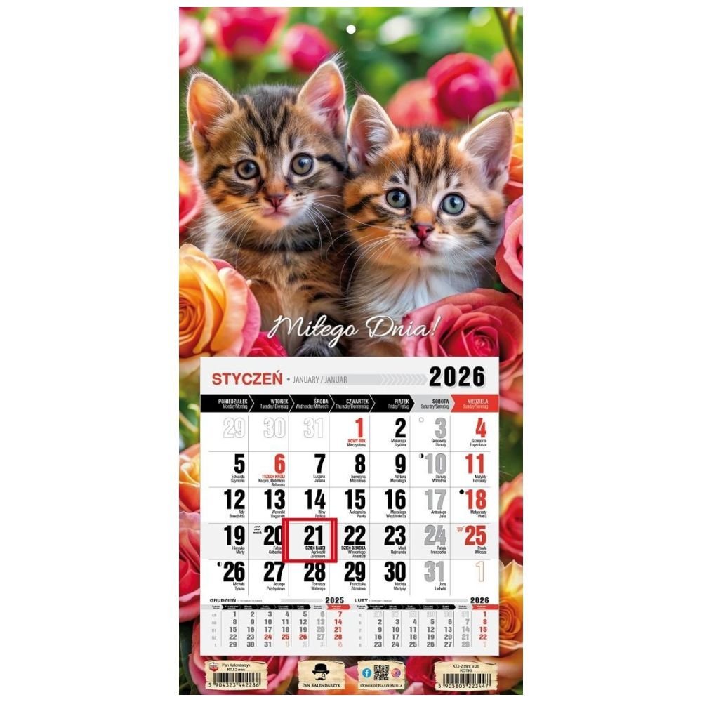 Kalendarz 2026 jednodzielny mini kotki