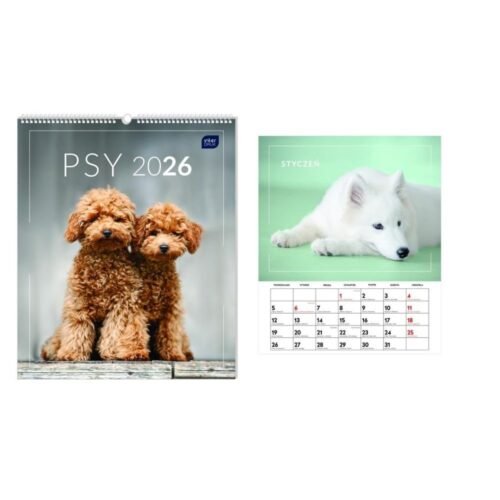 Kalendarz 2026 ścienny planszowy 33,5x40cm Psy