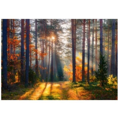 Kalendarz 2026 trójdzielny MIX