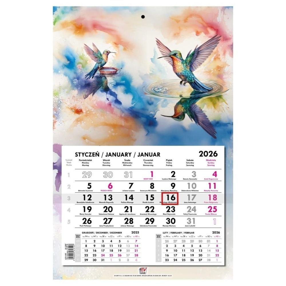 Kalendarz 2026 jednodzielny główka płaska Koliber