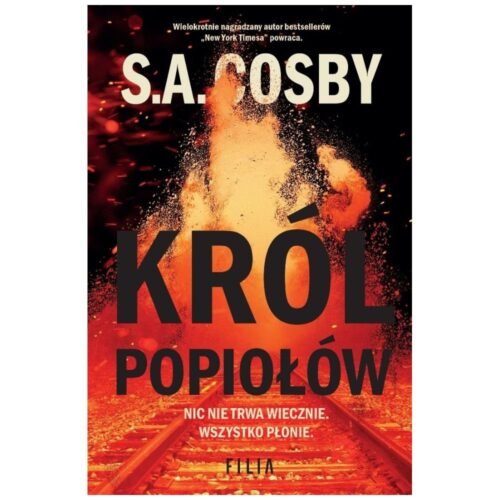Król popiołów